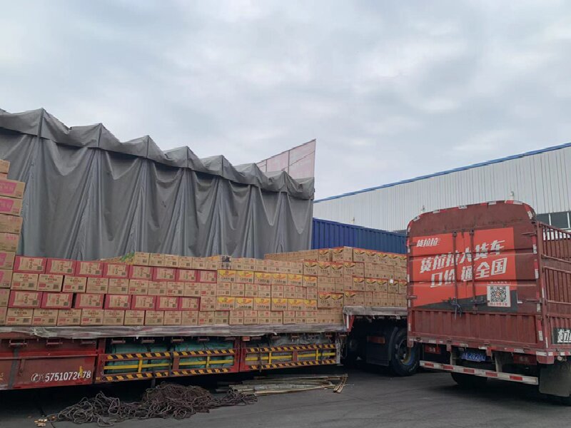 溫州至盧龍縣物流公司