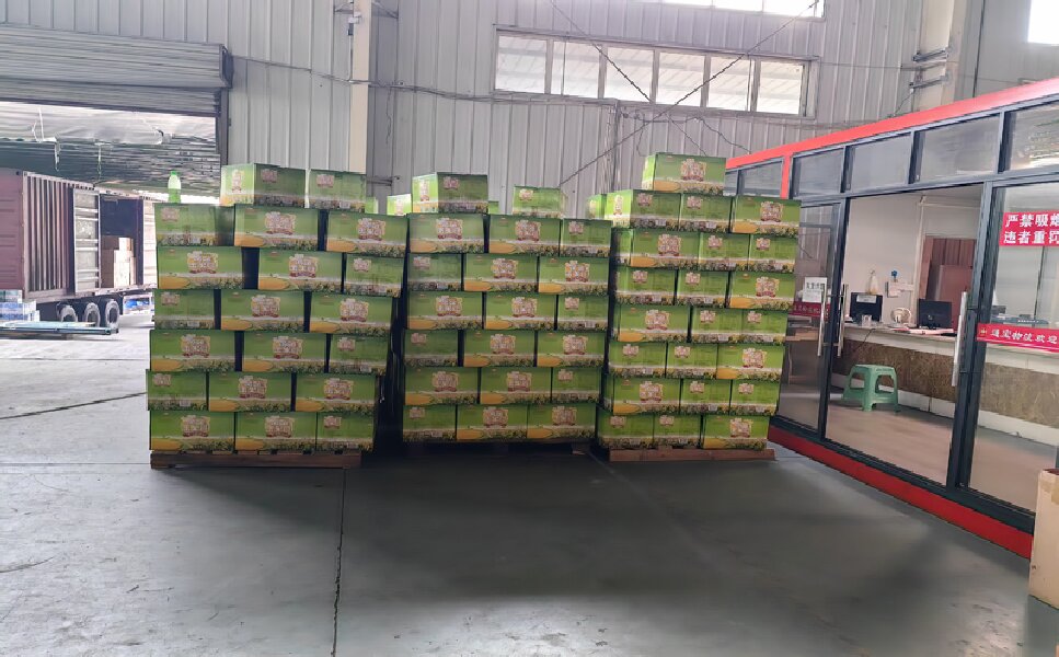 溫州到仙桃物流公司